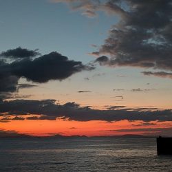 淡路島エギングリベンジ